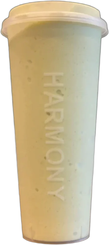 Avocado Milk Shake