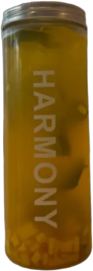 Mango Mocktail