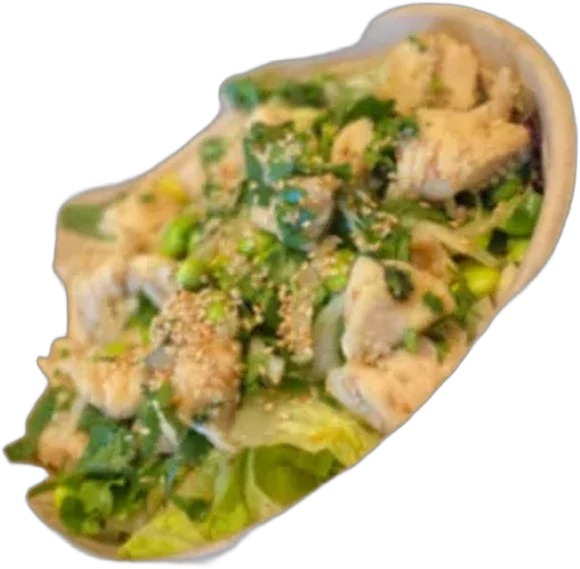 Spicy Ginger Chicken
