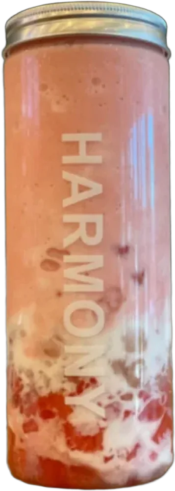 Watermelon Sago