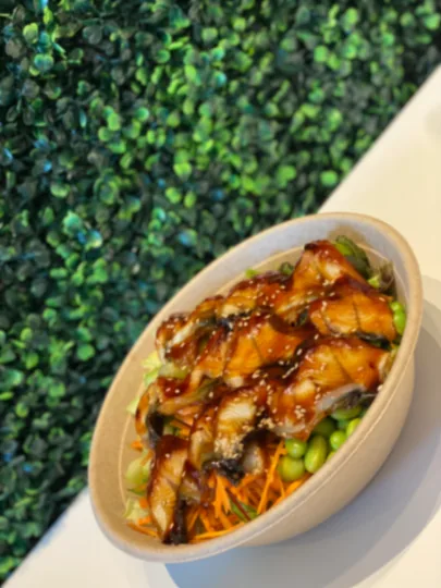 Unagi Don