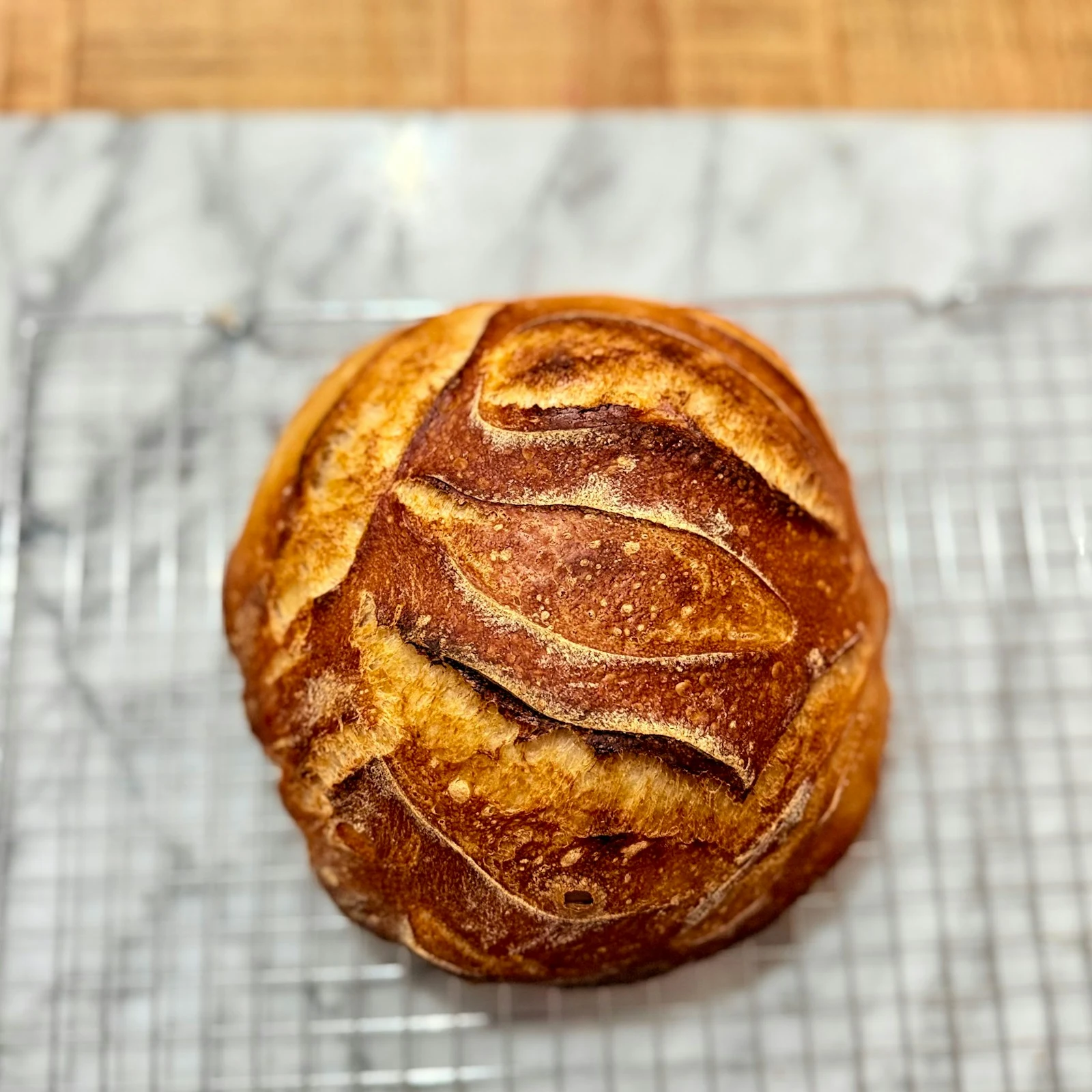 Round Italian Rolls