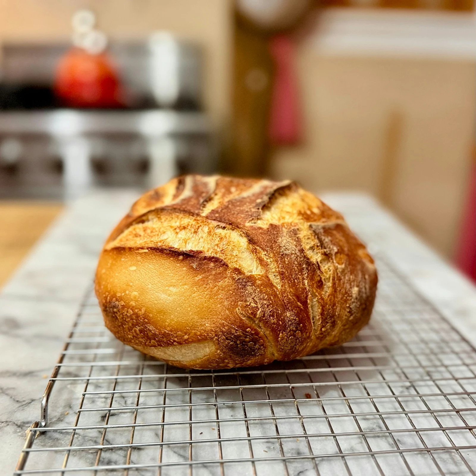 Long Semolina Dinner Rolls
