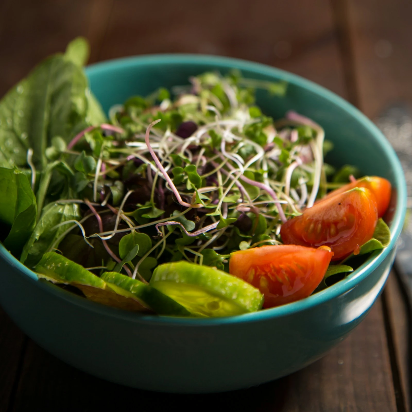 Garden Salad