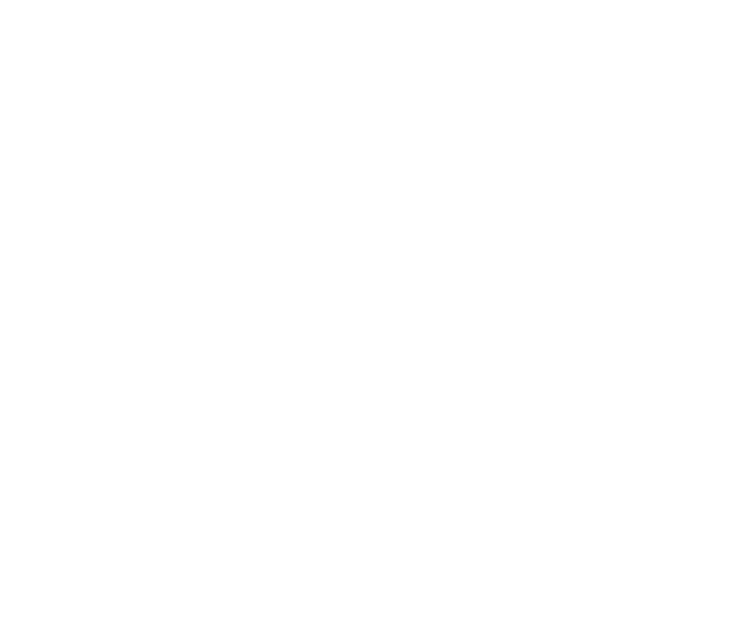 Latin Market Society