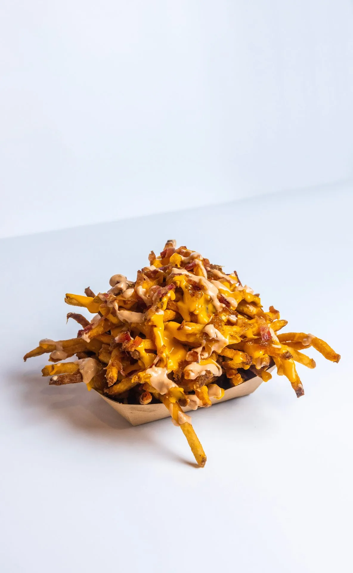 Loaded Fries.