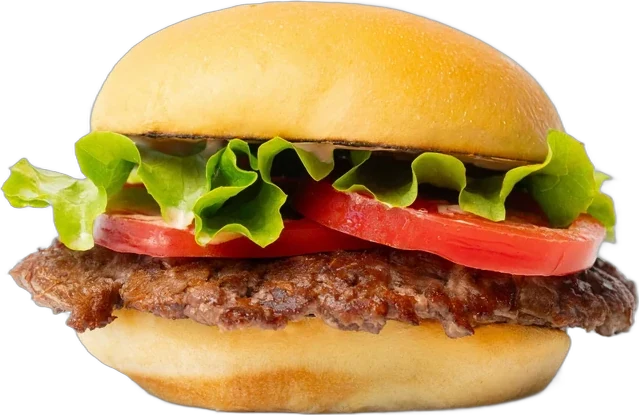 Classic hamburger