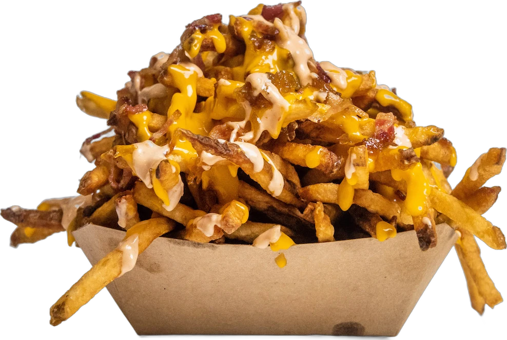 Loaded fries