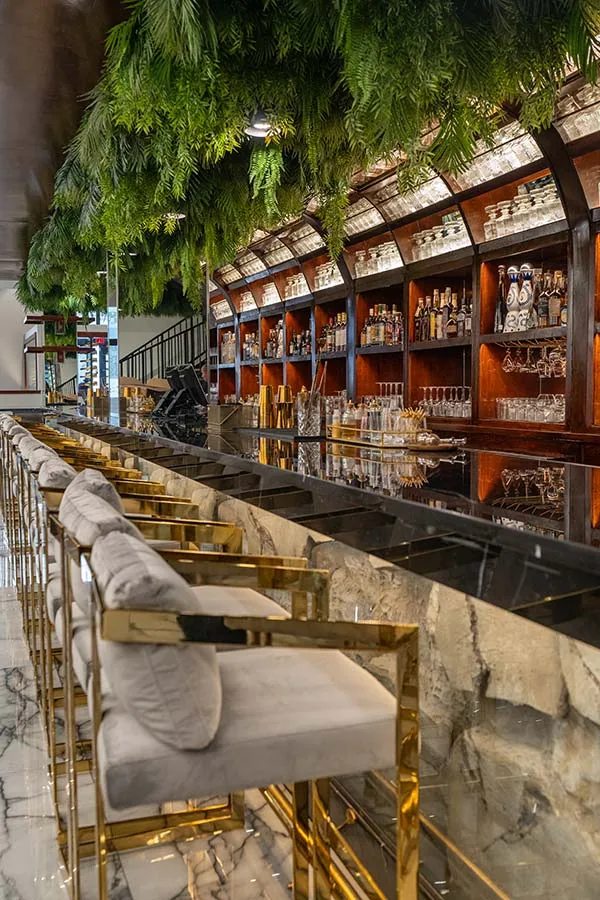 The bar and back-lit liquor shelves