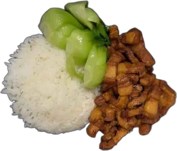 Classic Braised Pork Rice Bowl