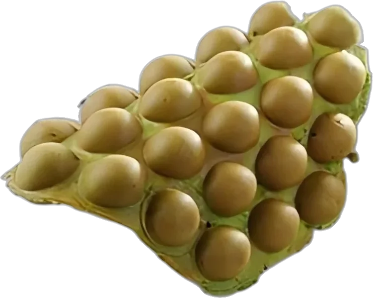 Matcha Egg Waffle